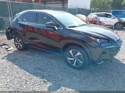 JTJGARDZ4L2219106 2020 LEXUS NX