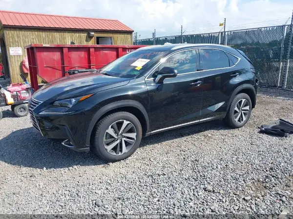 JTJGARDZ4L2219106 2020 LEXUS NX - Image 2