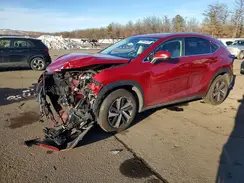 JTJGARDZ4L5001035 2020 LEXUS NX