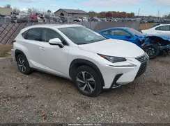 JTJGARDZ4M5023456 2021 LEXUS NX