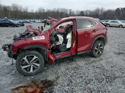 JTJGARDZ4M5024106 2021 LEXUS NX