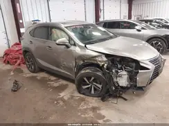 JTJGARDZ5L2224069 2020 LEXUS NX