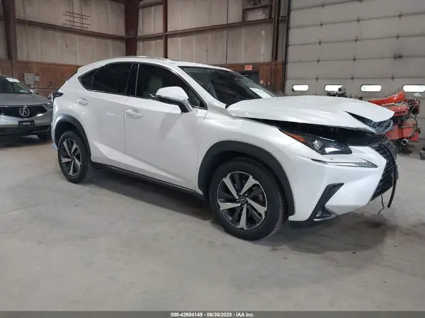 JTJGARDZ5L5002078 2020 LEXUS NX - Image 1