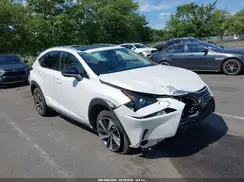 JTJGARDZ5L5012013 2020 LEXUS NX