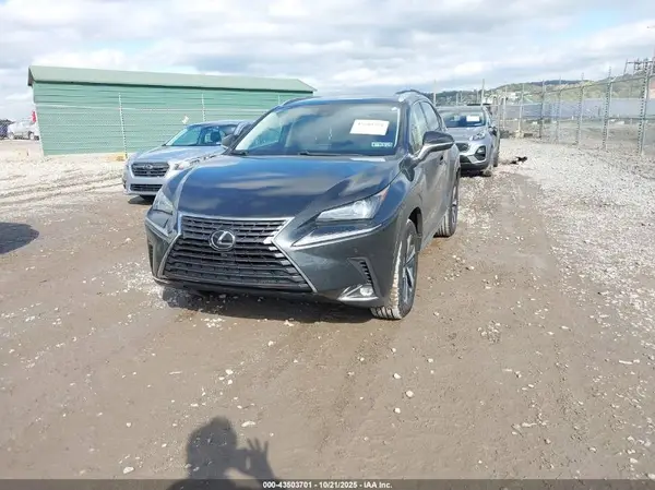 JTJGARDZ5M2255484 2021 LEXUS NX - Image 2