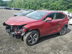 JTJGARDZ5M5029329 2021 LEXUS NX