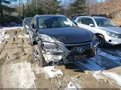 JTJGARDZ5M5031436 2021 LEXUS NX
