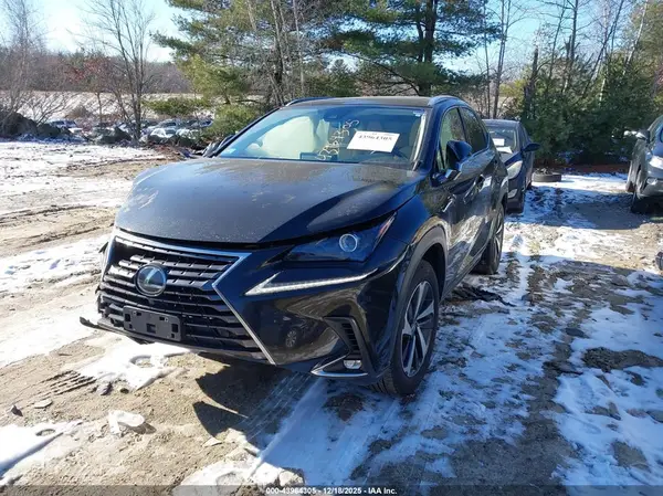 JTJGARDZ5M5031436 2021 LEXUS NX - Image 2