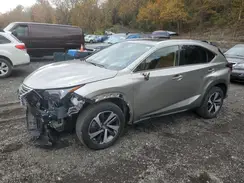 JTJGARDZ6L2221813 2020 LEXUS NX