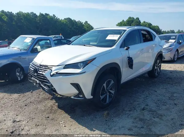 JTJGARDZ6L2226378 2020 LEXUS NX - Image 2
