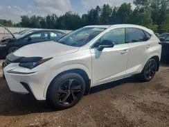 JTJGARDZ6L2229491 2020 LEXUS NX