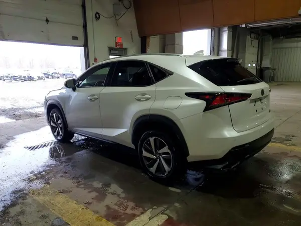 JTJGARDZ6L5000419 2020 LEXUS NX - Image 2