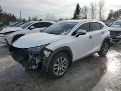 JTJGARDZ6L5014742 2020 LEXUS NX
