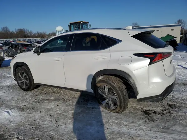 JTJGARDZ6L5016765 2020 LEXUS NX - Image 2