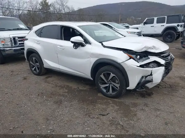 JTJGARDZ6M5026570 2021 LEXUS NX - Image 1