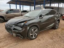 JTJGARDZ7L2226065 2020 LEXUS NX