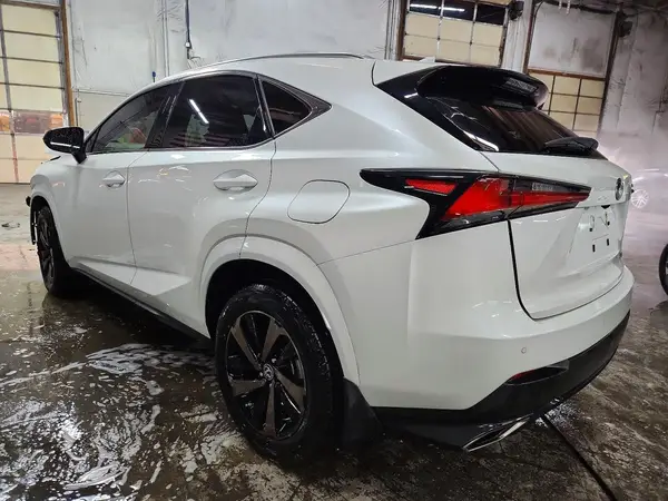 JTJGARDZ7L2228124 2020 LEXUS NX - Image 2