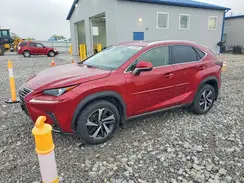 JTJGARDZ7L5013597 2020 LEXUS NX