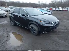 JTJGARDZ7M2242204 2021 LEXUS NX