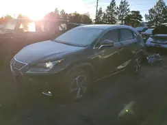 JTJGARDZ7M2259276 2021 LEXUS NX