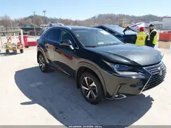 JTJGARDZ7M2260587 2021 LEXUS NX