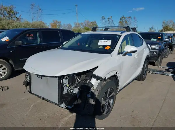 JTJGARDZ8L5001393 2020 LEXUS NX - Image 2