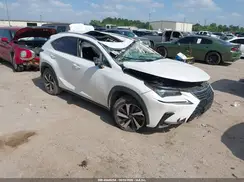 JTJGARDZ8M5021032 2021 LEXUS NX