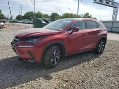 JTJGARDZ8M5022360 2021 LEXUS NX