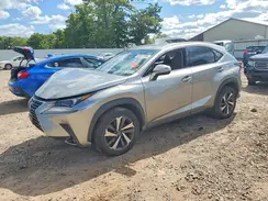 JTJGARDZ8M5031902 2021 LEXUS NX