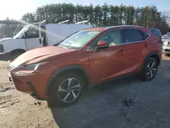 JTJGARDZ9L2236063 2020 LEXUS NX