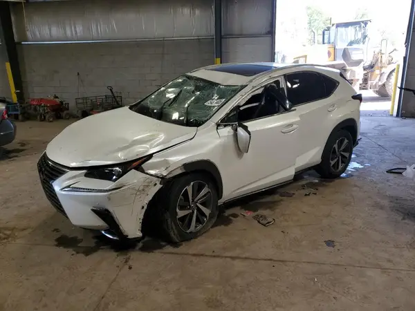 JTJGARDZ9L5017909 2020 LEXUS NX - Image 1
