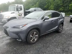 JTJGARDZ9M2239031 2021 LEXUS NX