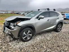 JTJGARDZ9M2256542 2021 LEXUS NX