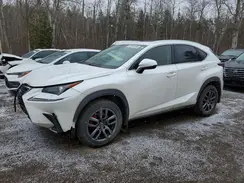 JTJGARDZ9M5019080 2021 LEXUS NX