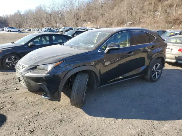 JTJGARDZ9M5029091 2021 LEXUS NX - Image 1