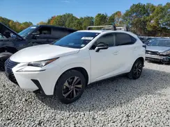 JTJGARDZXL2228702 2020 LEXUS NX