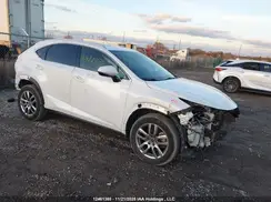 JTJGARDZXL5000584 2020 LEXUS NX