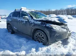 JTJGARDZXL5002903 2020 LEXUS NX