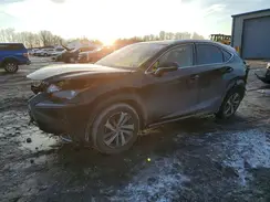 JTJGARDZXM2246585 2021 LEXUS NX