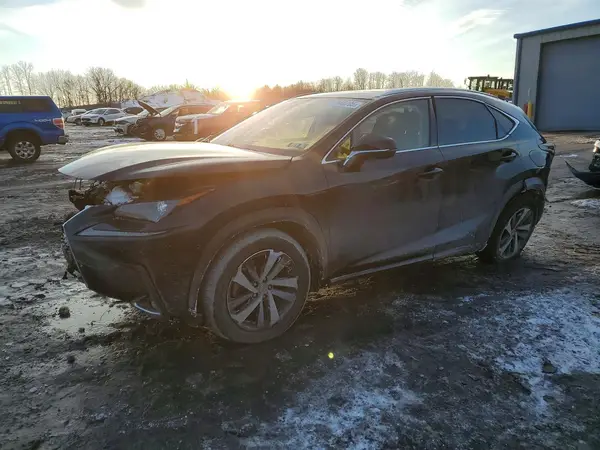 JTJGARDZXM2246585 2021 LEXUS NX - Image 1