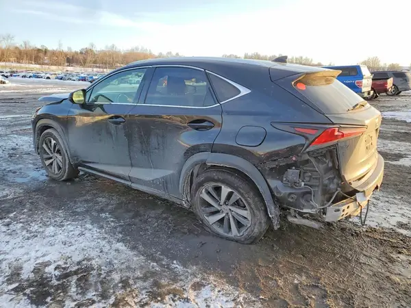 JTJGARDZXM2246585 2021 LEXUS NX - Image 2