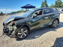 JTJGARDZXM2259305 2021 LEXUS NX