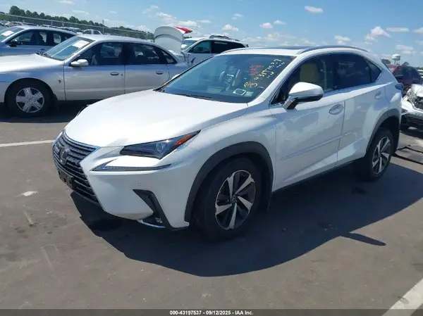 JTJGARDZXM5025728 2021 LEXUS NX - Image 2