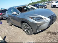 JTJGARDZXM5030153 2021 LEXUS NX