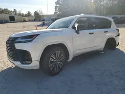 JTJGB7CX2R4054932 2024 LEXUS LX