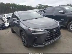 JTJGDCAZ0P5013410 2023 LEXUS NX