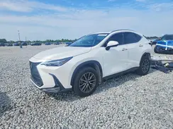 JTJGDCAZ0R5013569 2024 LEXUS NX