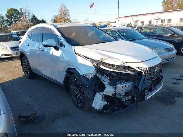 JTJGDCAZ0R5021297 2024 LEXUS NX - Image 1