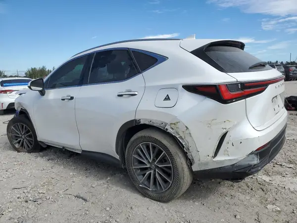 JTJGDCAZ1R5017114 2024 LEXUS NX - Image 2