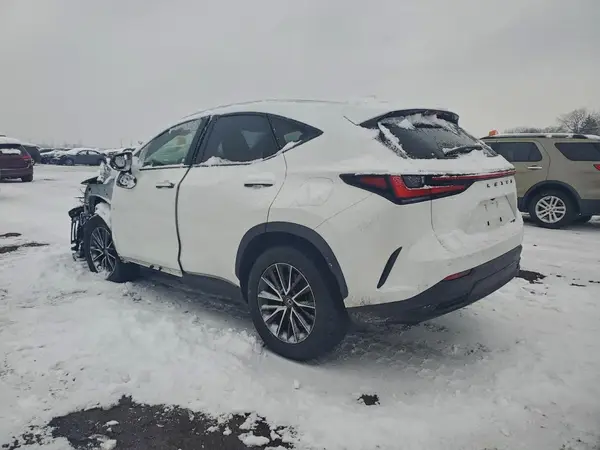 JTJGDCAZ2R2008343 2024 LEXUS NX - Image 2